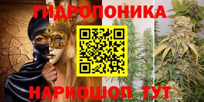 PSILOCYBIN Тверь
