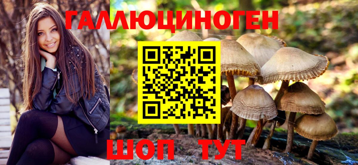 Можайск  Псилоцибиновые грибы прущие грибы  Псилоцибиновые грибы Psilocybine cubensis  Вход с VPN 