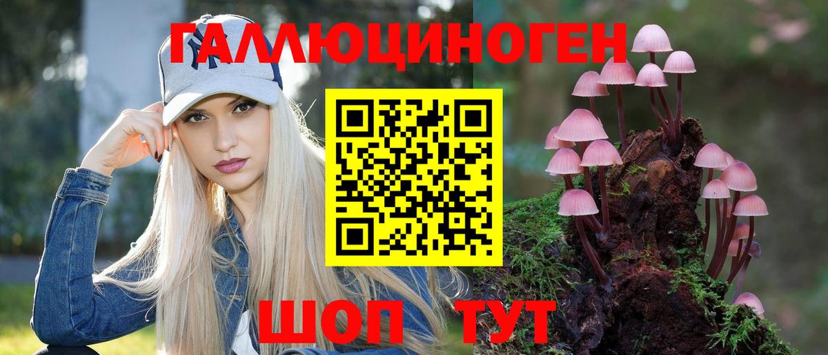 Псилоцибиновые грибы мицелий Можайск